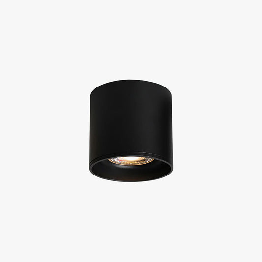 Lenu Deckenlampe – Metall – Schwarz/Weiß – Ø 10 cm – Modernes Design mit LED Technologie